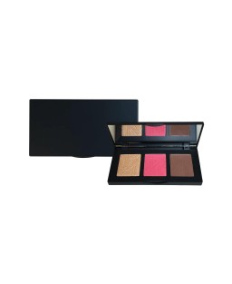 Pro Cheek Palette - Pop