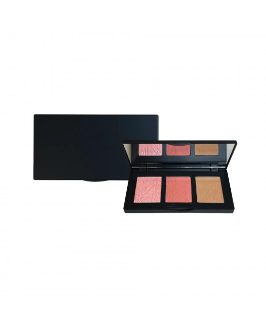 Pro Cheek Palette - Blushy